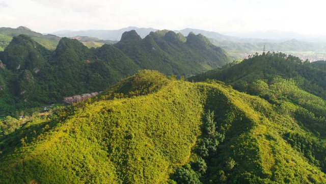 5ee27e0383c2e.png 1.png