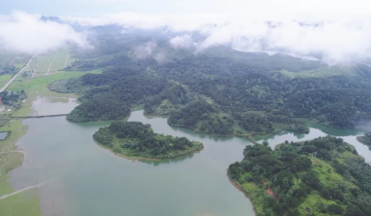 607bce0a7ef46.png 1.png