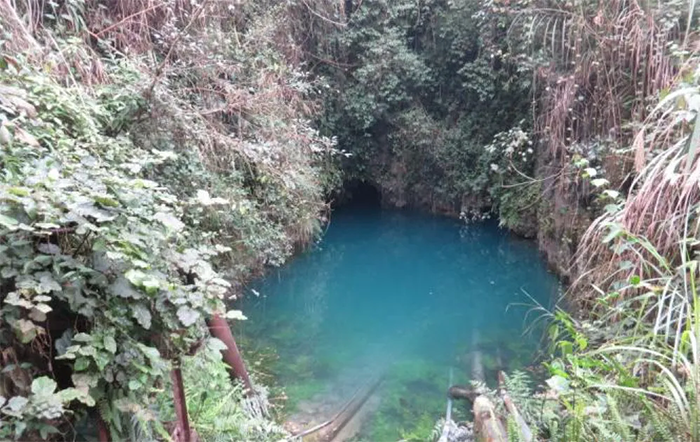 66b2e6d675ce4.png 博環立項02 700.png